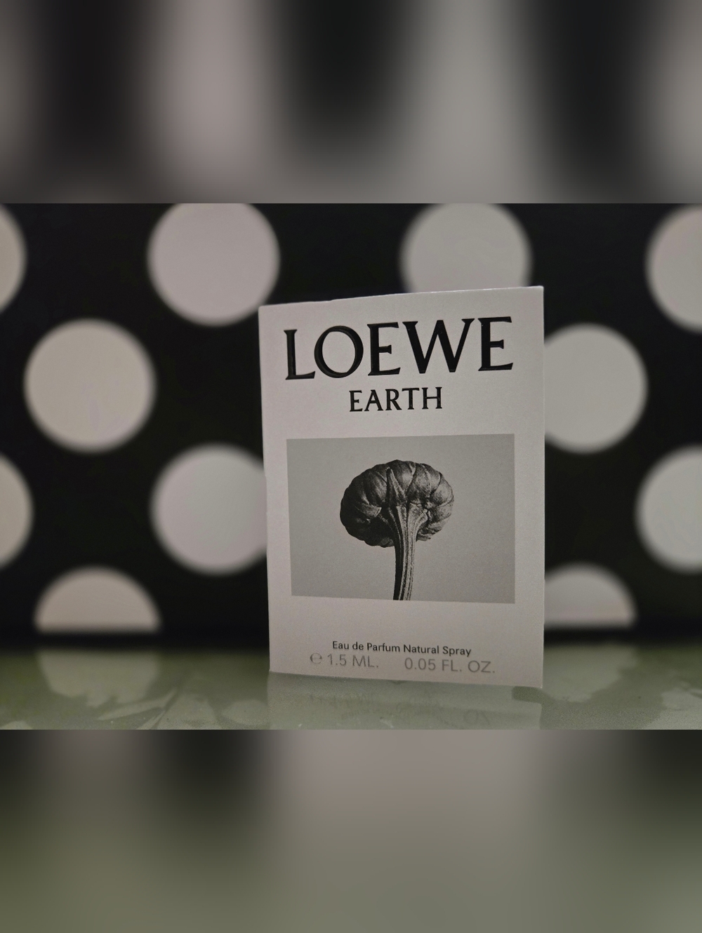 2/$15✨️Loewe Earth SAMPLE✨️